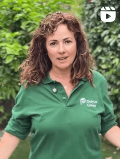 Video Delycar Green