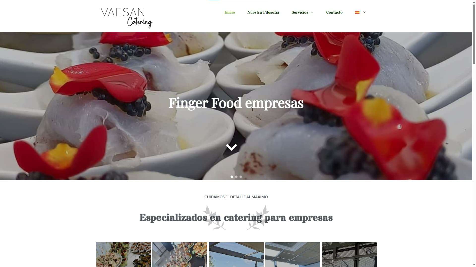 Web Vaesan Catering